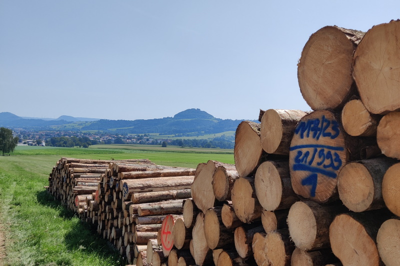 Frisches Fichten-Käferholz bei Wäschenbeuren, im Hintergrund der Hohenstaufen
