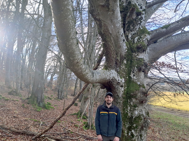 Revierleiter Mario Dreher im Wald